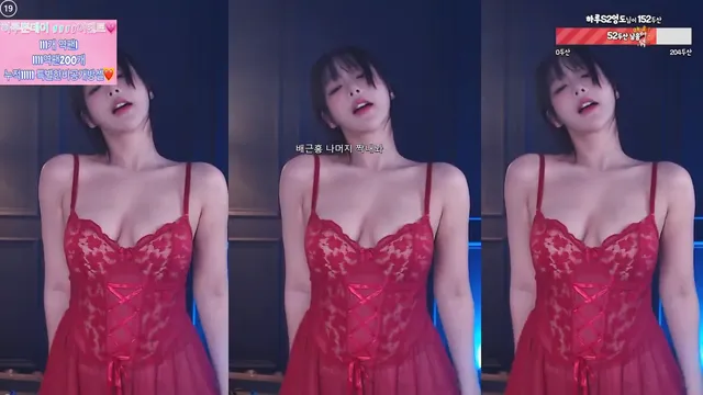 [Korean BJ] sol3712 2024-11-10