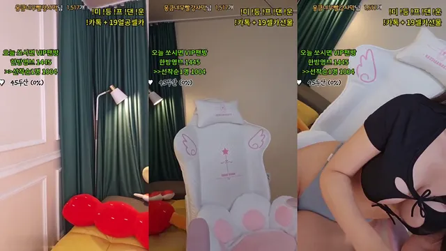 [Korean BJ] nemu00 2024-05-25