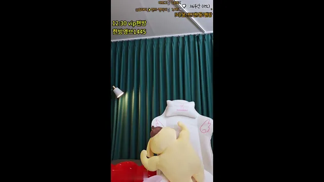 [Korean BJ] nemu00 2024-03-30
