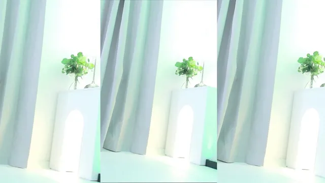 [Korean BJ] bo1004 2024-09-09