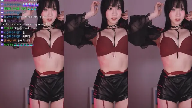 [Korean BJ] auddk_77 2024-11-26