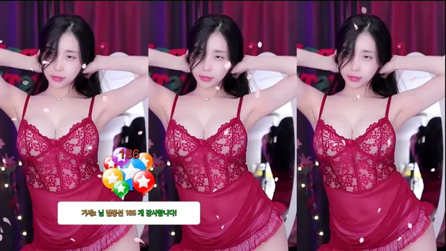 [Korean BJ] wotndi12 2024-12-24