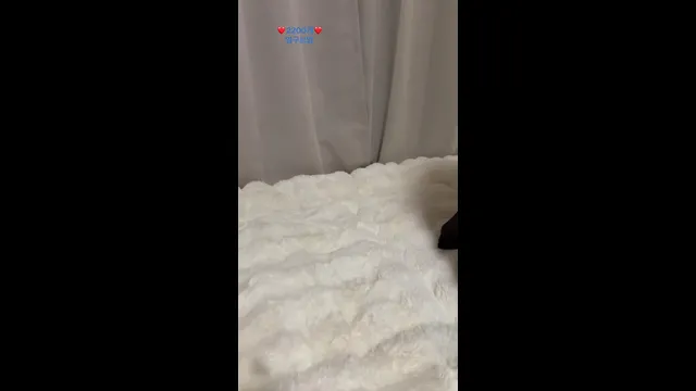 [Korean BJ] qwe1240 2025-03-08