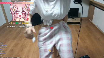 [보리담] 다시보기x 신입 05년생 국가권력급 부르마 캠방