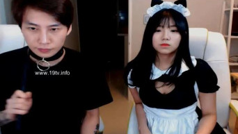 bj 여게스트 106(ㅅㅣ우-민삘_메이드복 게스트