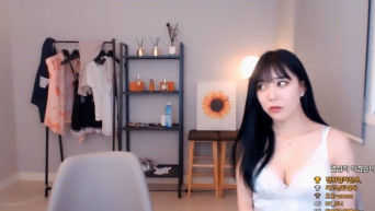 호야준빈게스트