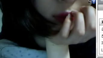 랜챗 귀찮아녀