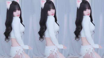 하냥이_시그니쳐 고양이 리액션