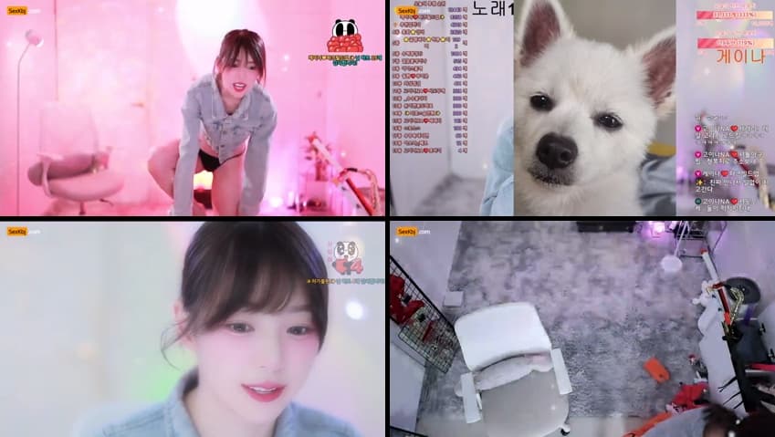 [Korean BJ] qkeksms3 – KBJ25100738 – koreanbj.club