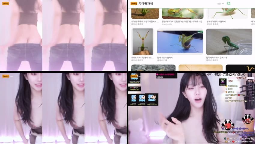 [Korean BJ] zmalqp6666(BJ별보나) – KBJ25112740 – koreanbj.club