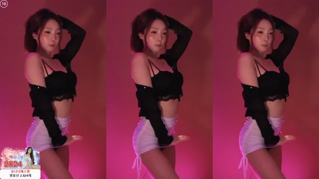 [Korean BJ] dlsgk1763 2025-08-12