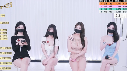 팬더 합방 secret29_2026-02-10