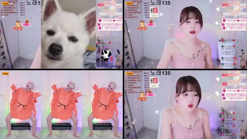 [Korean BJ] qkeksms3 – KBJ25072444 – koreanbj.club